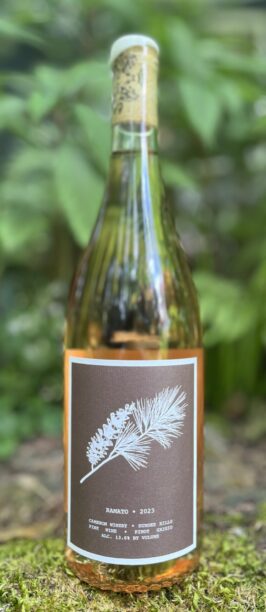 2023 Ramato of Pinot Gris | Cameron Winery, Dundee Oregon